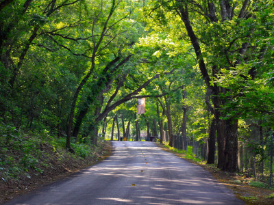 new_braunfels_city_large_image1_600x400